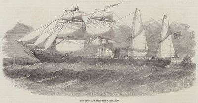 The New Screw Steam-Ship Adelaide by Edwin Weedon